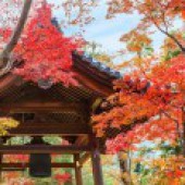 Có một mùa thu tôi đi qua