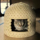 Những ngôi nhà mèo được bện từ rơm ở làng thủ công Sekikawa