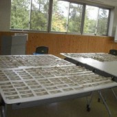 Phát hiện 2,86 triệu yên tiền mặt trong thùng rác ở tỉnh Mie