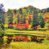 Sounkyo - Ngắm lá đỏ giữa những tầng mây