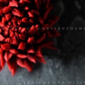 Junichi Mitsubori - người truyền cảm hứng Wagashi