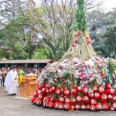 Dondo-Yaki: lễ hội cầu bình an cho năm mới ở Nhật Bản