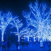 Những lễ hội ánh sáng không thể bỏ qua ở Nhật Bản