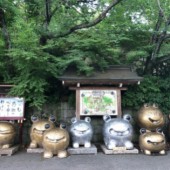 Tham quan Ngôi chùa Ếch lạ lùng ở tỉnh Fukuoka