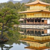 Chùa Kinkakuji hóa vàng rực sau trùng tu