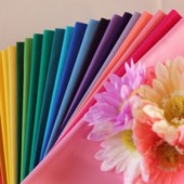 Ý nghĩa màu sắc trong văn hóa Nhật Bản