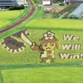 Tanbo Art: Nghệ thuật vẽ tranh trên đồng ruộng độc đáo của Nhật Bản