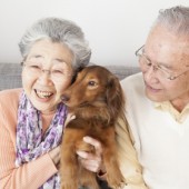 Tỉnh nào có tuổi thọ trung bình cao nhất ở Nhật Bản?