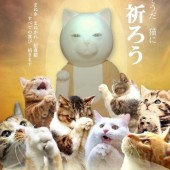 Đến chùa Nyannyan, gặp trụ trì mèo đầy quyền lực