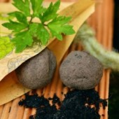 Seed ball có phải là phương pháp gieo trồng đến từ Nhật Bản?