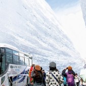 Vui chơi với tuyết giữa mùa hè