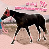 Chú ngựa đua Nhật Bản sở hữu cái tên gây hoang mang