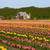 Mombetsu, những bất ngờ kì thú ở vùng biển Bắc 