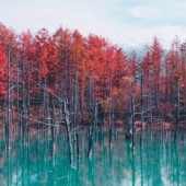 Top 5 điểm đến ở Hokkaido