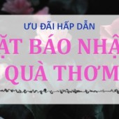 Ưu đãi hấp dẫn chưa từng có ở Kilala!