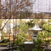 Nghệ nhân sân vườn kiểu Nhật