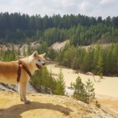 5 trải nghiệm đáng có khi du lịch ở tỉnh Akita