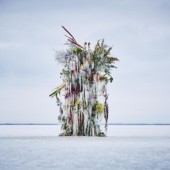 Tác phẩm sắp đặt hoa trong băng của nghệ sĩ người Nhật