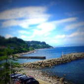 Khám phá bán đảo Izu