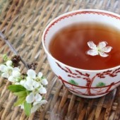 Những điều cần lưu ý trong Trà đạo