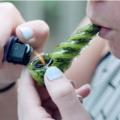 Chính phủ Nhật có đang hiểu lầm cần sa?