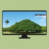 Cây "Hitachi": Biểu tượng của Tập đoàn Hitachi từ năm 1973