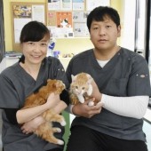 Câu chuyện triệt sản chó, mèo hoang tại Nhật Bản