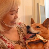 Câu chuyện cảm động về chú chó thính giác Leon và cô chủ