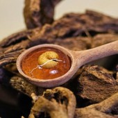 Sashimi tằm, cà ri dế đang được ưa chuộng tại Nhật