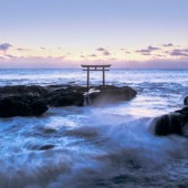 Chiêm ngưỡng 5 cổng Torii biểu tượng của nước Nhật