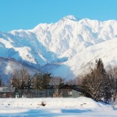 10 cách tận hưởng mùa đông ở miền Đông Nhật Bản