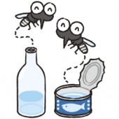 Dọn dẹp nhà đúng cách để chống muỗi mùa mưa