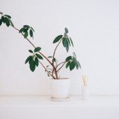 Những nguyên tắc khi trang trí phòng theo cách Nhật Bản