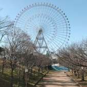 Thú vị ngọn núi 4,5m tại Nhật Bản