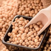Lý do khiến đậu nành được ưa chuộng tại Nhật