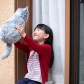 Robot MeowEver: "Gối ôm" biết tương tác như mèo thật