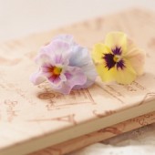 Bìa bọc sách – Nét tinh tế của nền văn hóa đọc