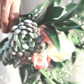 Tung hoa cưới - chuyện "nhạy cảm" của người Nhật