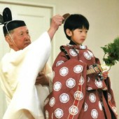 Một số sự thật thú vị về hoàng tử bé Hisahito