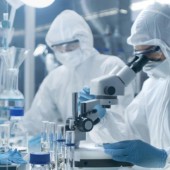 Số lượng người học tiến sĩ ở Nhật giảm