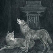 Vì sao chó sói Nhật tuyệt chủng?