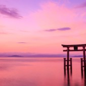 Thần đạo tôn giáo bản địa của người Nhật