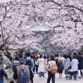 5 thủ tục cần làm khi mới đến Nhật Bản