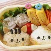 Những hộp cơm bento mang lại niềm vui cho trẻ nhỏ