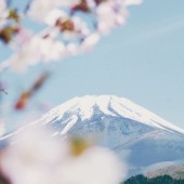 7 sự thật ít ai biết về Nhật Bản