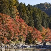 Thành phố Toyota - điểm đến mới cho năm 2020