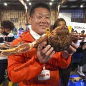 Một con cua tuyết Nhật Bản được đấu giá 160 triệu đồng 