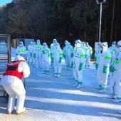 Nhật Bản tiêu hủy gần 10 triệu con gà vì cúm gia cầm