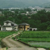 Nông thôn Nhật Bản "nên thơ" qua ảnh chụp của Daisuke Saito