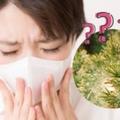 Dị ứng phấn hoa ở Nhật và những điều bạn cần biết